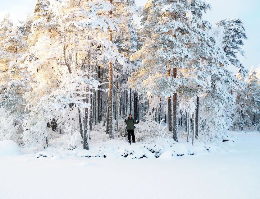 Helsinki: Winter Wonderland Liesjärvi National Park Hike - Price and value: what $182 really buys you