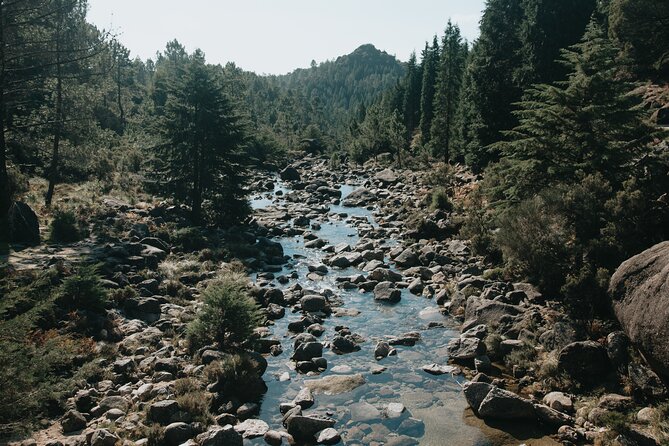 Hidden Gems of Peneda-Gerês National Park on a Full-Day Tour - Price and Value: Is $117 Fair for This Day Trip?