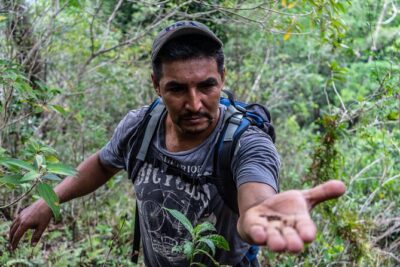 Hidden Waterfalls Eco Tour in El Imposible National Park - Waterfall jumps and natural rock slides: how the fun is structured