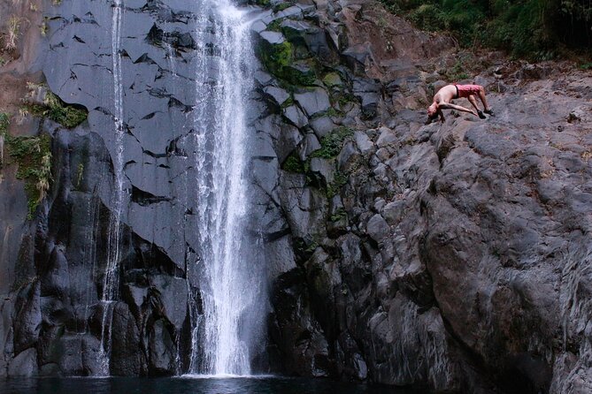 Hidden Waterfalls Eco Tour in El Imposible National Park - Meals, drinks, and the small comfort of being taken care of