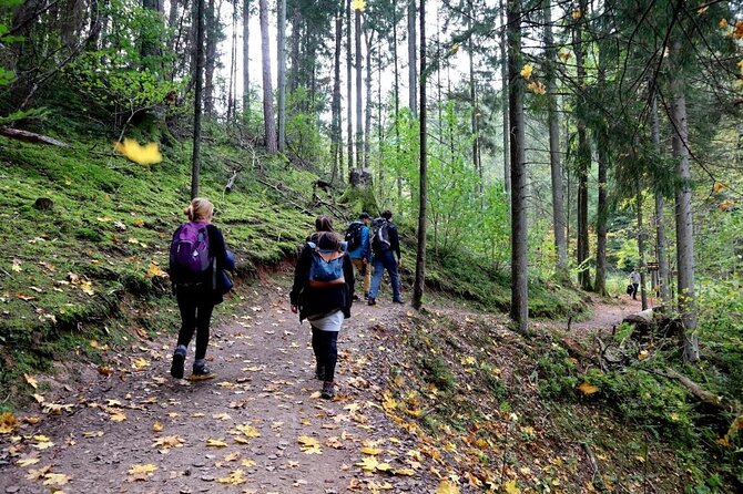 Hike In Gauja National Park - Up And Down The Switzerland Of Latvia - Sigulda and Gauja: why this hike feels like Latvia, not a tourist postcard