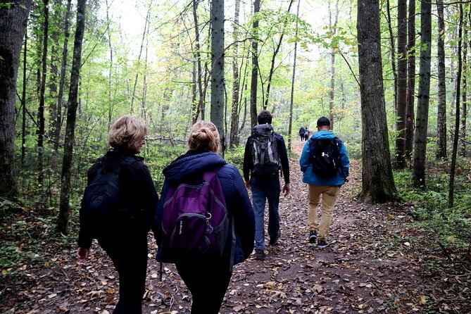 Hike In Gauja National Park - Up And Down The Switzerland Of Latvia - Comfort and food: what’s included, what’s on you