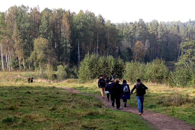 Hike In Gauja National Park - Up And Down The Switzerland Of Latvia - Who this hike suits best (and who might want something else)