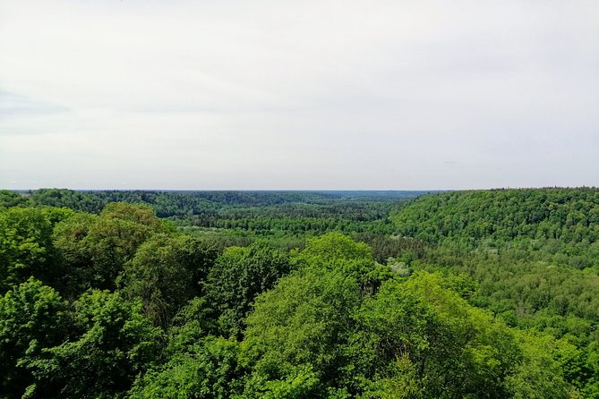 Hiking in Gauja National Park - Stop 3: Gutmanis Cave