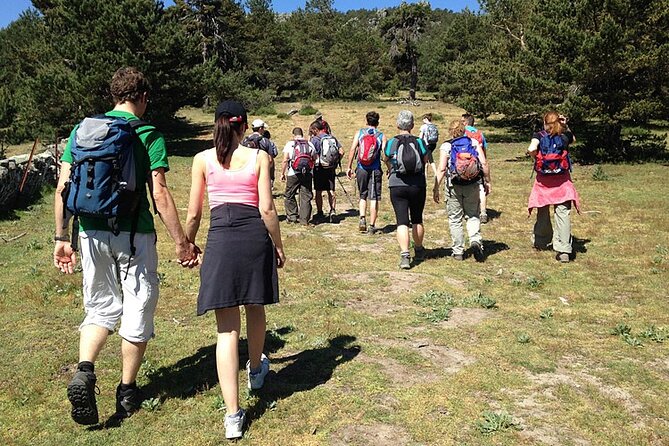 Hiking in Madrid National Park with Transport - Included gear and comfort: sticks, insurance, and the basics