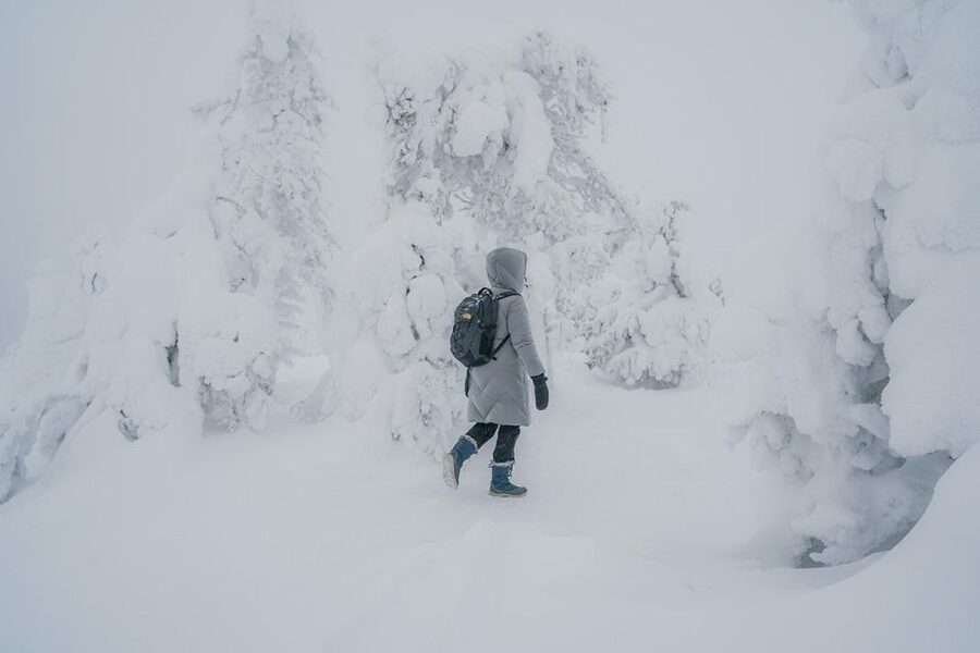 Hiking in Riisitunturi National Park with Photographer - Key things I’d notice first