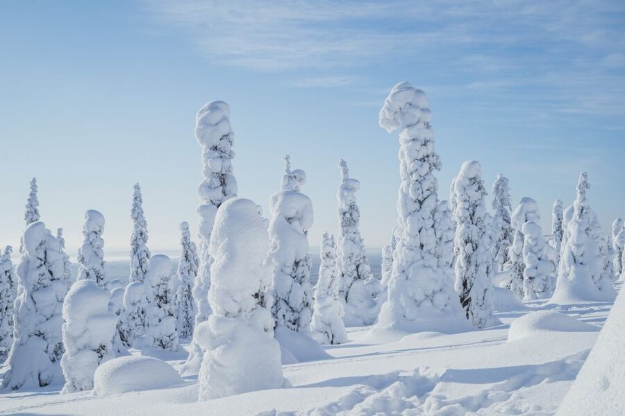 Hiking in Riisitunturi National Park with Photographer - The 5 km hike: how a winter route can still feel easygoing