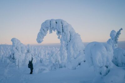 Hiking in Riisitunturi National Park with Photographer - Rovaniemi pickup and the 2.33-hour van ride each way