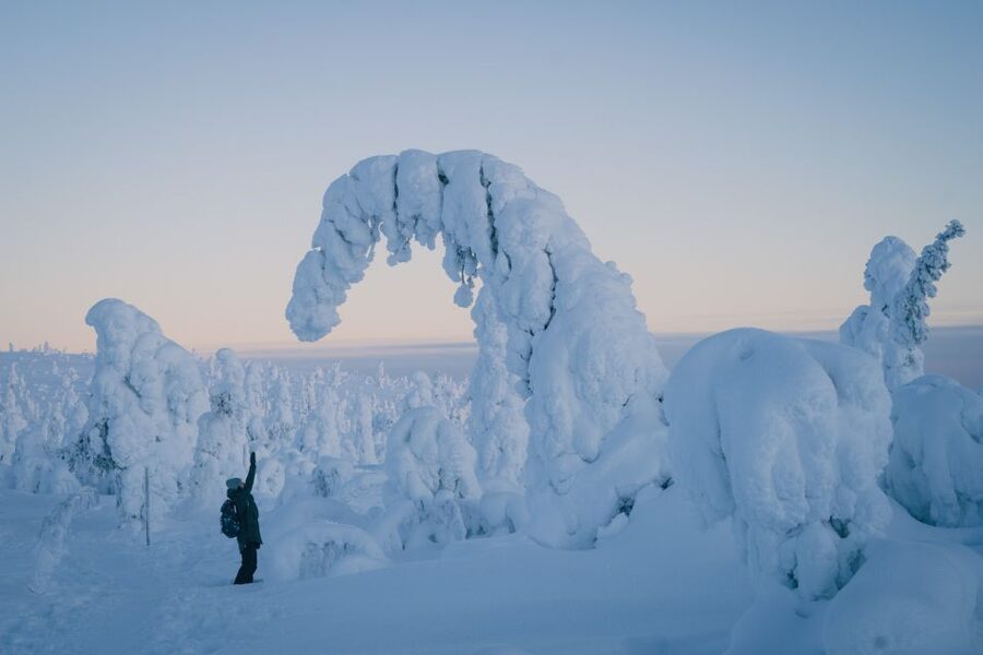 Hiking in Riisitunturi National Park with Photographer - Rovaniemi pickup and the 2.33-hour van ride each way