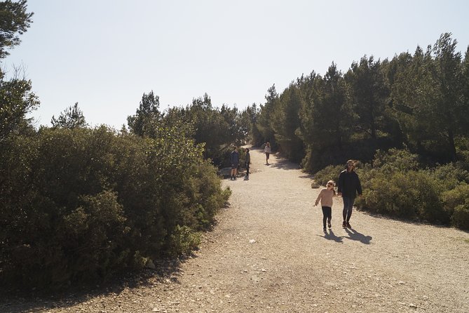 Hiking in the Calanques National park from Marseille - Pace and fitness: what moderate really means here