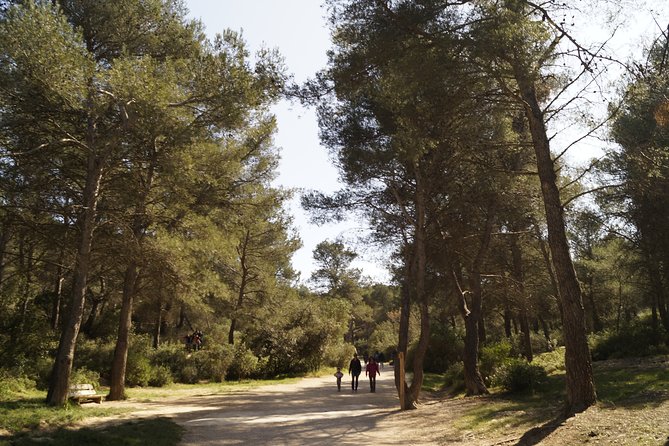 Hiking in the Calanques National park from Marseille - Price and value: does $42.34 really cover what you get?