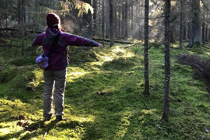 Hiking tour in Nuuksio National Park with meal and snacks - Key highlights at a glance
