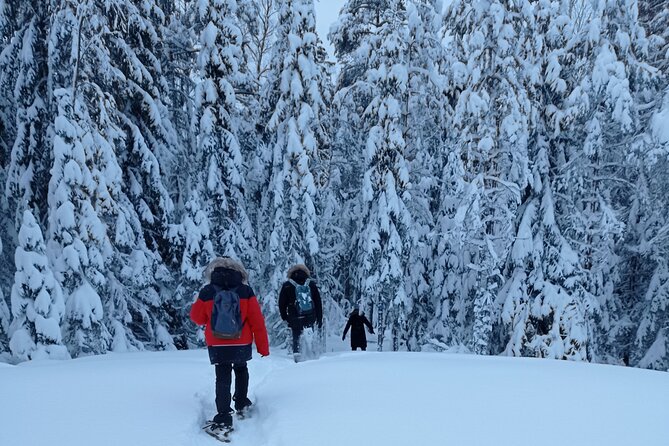 Hiking tour in Nuuksio National Park with meal and snacks - Meet David: why the guide matters on this hike