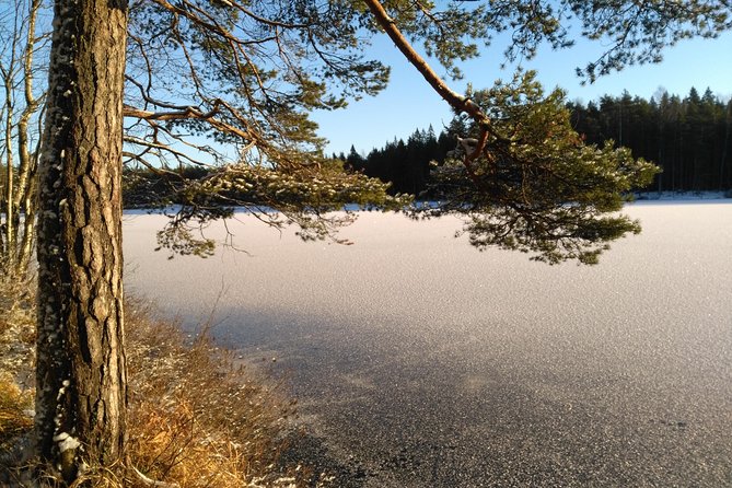 Hiking tour in Nuuksio National Park with meal and snacks - Food and warmth: glögi, berry tea, bread, and the soup finale