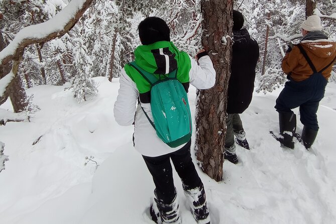 Hiking tour in Nuuksio National Park with meal and snacks - Why this hike feels like Finnish culture, not just a nature stop