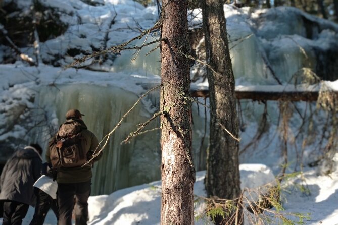 Hiking tour in Nuuksio National Park with meal and snacks - Who should book this, and who might want a different plan