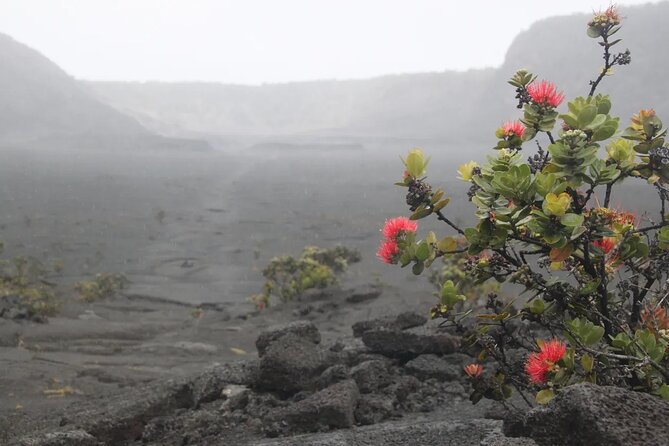 Hilo Cruise Ship Excursion: Volcanoes National Park Rainbow Falls - Getting your timing right: what “moderate” feels like on the ground
