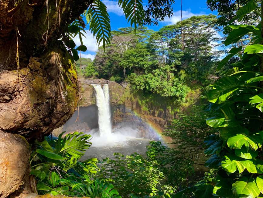 Hilo: Hawaii Volcanoes National Park and Hilo Highlights … - Key things to know before you go