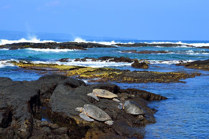 Hilo Shore Excursion: Volcanoes National Park & Black Sand Beach - Hilo Gets You Oriented Before the Volcano Day