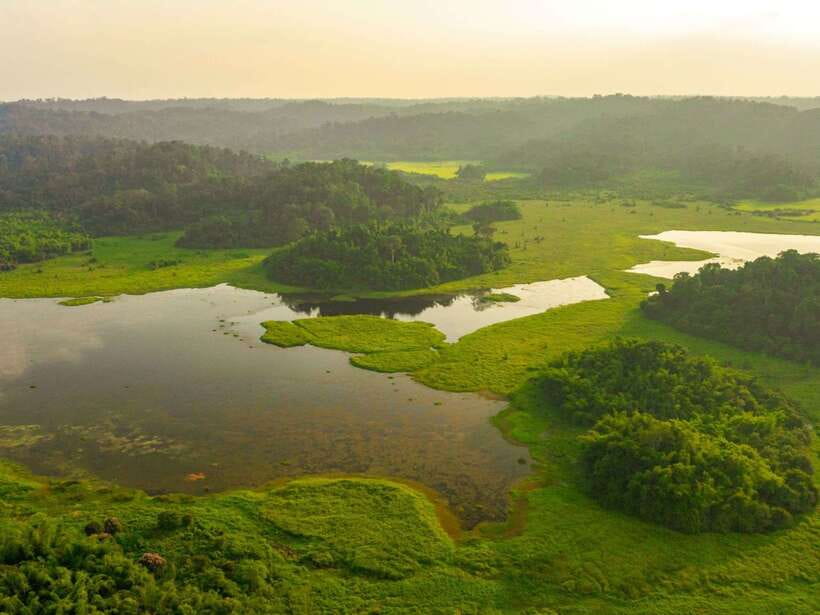 Ho Chi Minh to Cat Tien National Park – Dalat (3 days) - Crocodile Lake Afternoon: Sun-Basking Chances and Big Views