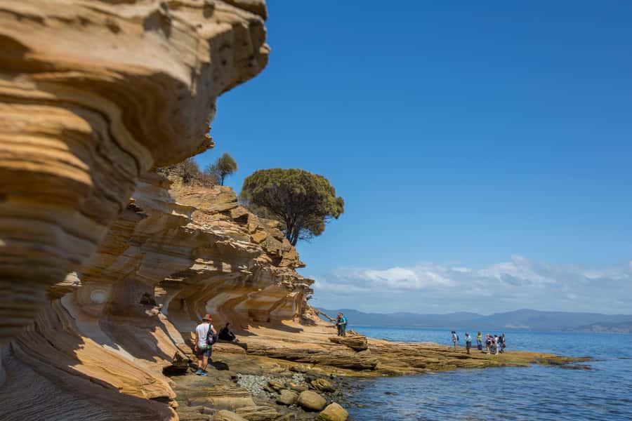 Hobart: Maria Island National Park Active Full-Day Tour - Key Points I’d Prioritize Before You Go