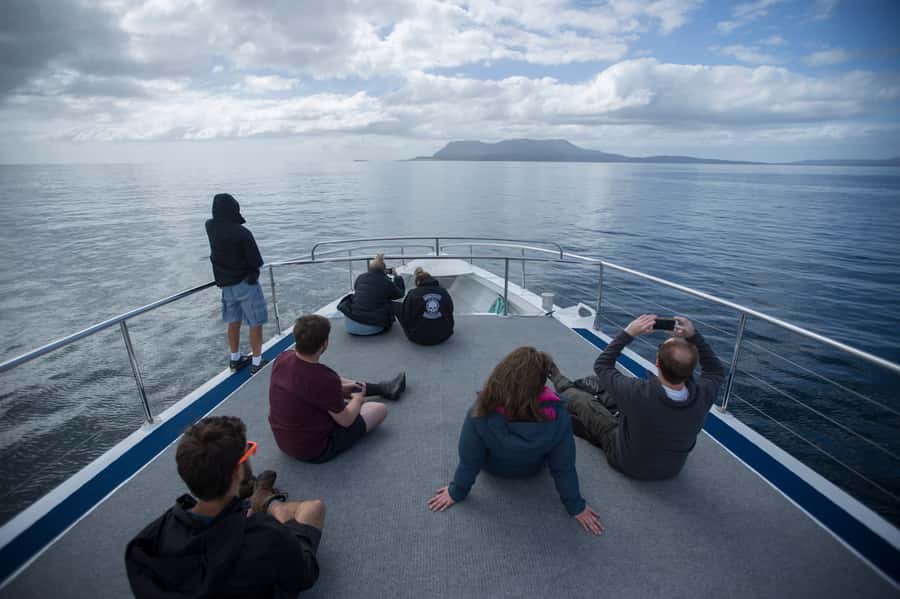 Hobart: Maria Island National Park Active Full-Day Tour - Fossil Cliffs Circuit: 300 Million Years of Rock on the Western Side