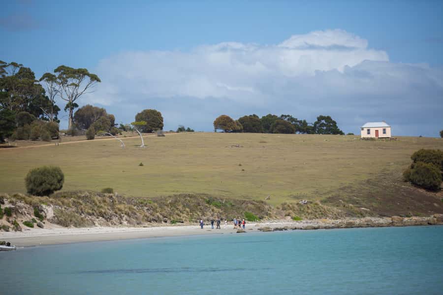 Hobart: Maria Island National Park Active Full-Day Tour - Wildlife on Maria Island: Wombats, Wallabies, Devils, and How to Spot Them Respectfully