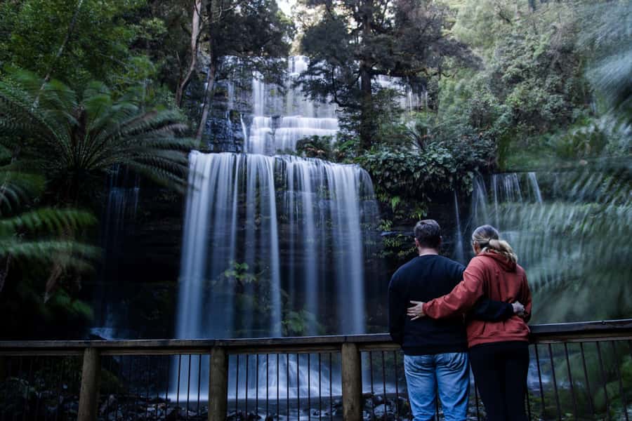 Hobart: Mt Field National Park & Wildlife Shore Excursion - Key highlights to decide fast