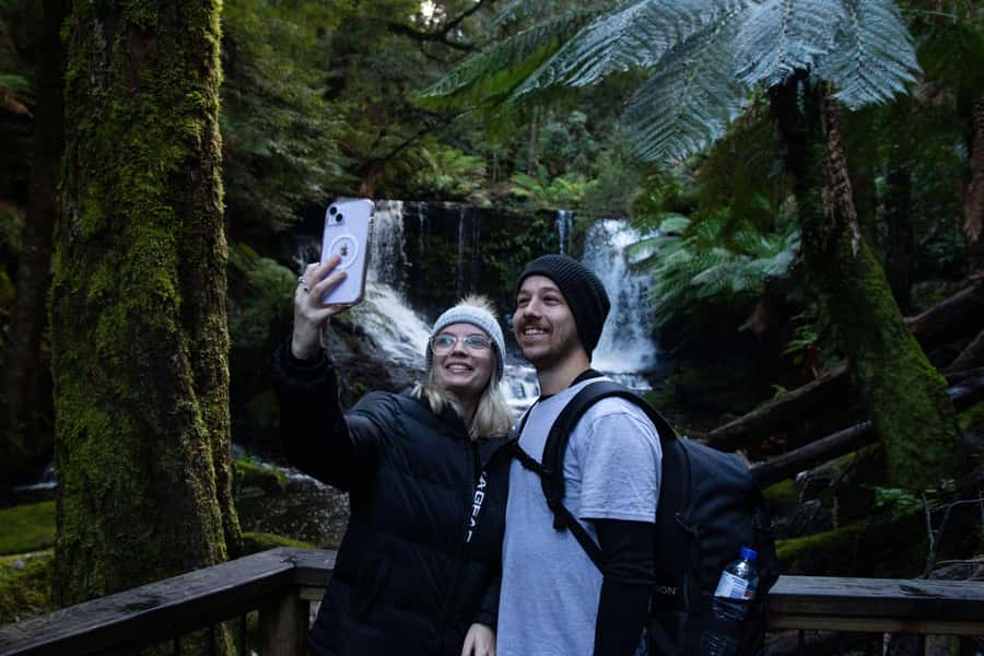 Hobart: Mt Field National Park & Wildlife Shore Excursion - Price and value: what $130 covers, and what you’ll spend extra