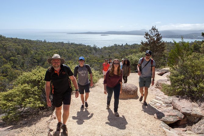 Hobart: Wineglass Bay & Freycinet National Park - Active Day Tour - The ride from Hobart: long day, scenic payoff