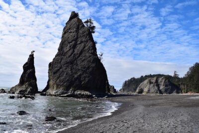Hoh Rain Forest and Rialto Beach Guided Tour in Olympic National Park - The 7:30am start: why meeting in Port Angeles matters