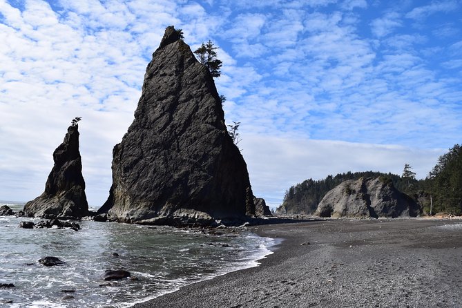 Hoh Rain Forest and Rialto Beach Guided Tour in Olympic National Park - The 7:30am start: why meeting in Port Angeles matters