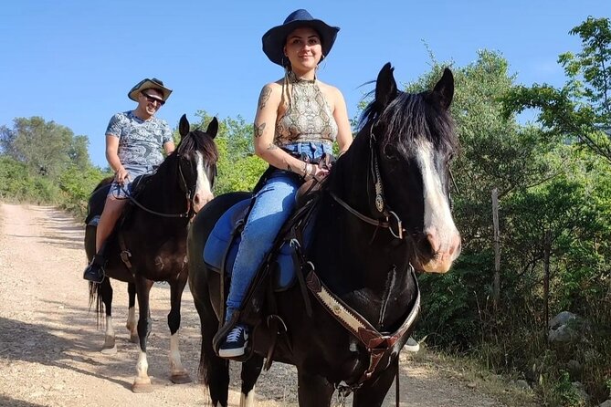 Horse riding in the Gargano National Park - Meeting Gio Horses Ranch in San Nicandro Garganico