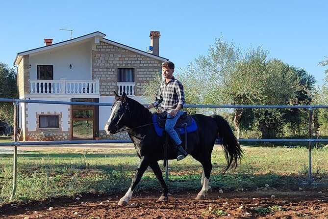 Horse riding in the Gargano National Park - The One-Hour Ride: What Your Time Actually Includes