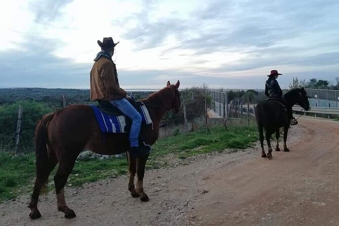 Horse riding in the Gargano National Park - Pace, Safety, and the “Right Amount of Comfort”