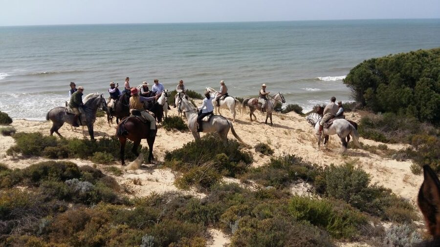 Horse-Riding Tour in Doñana National Park - Key highlights you’ll feel right away