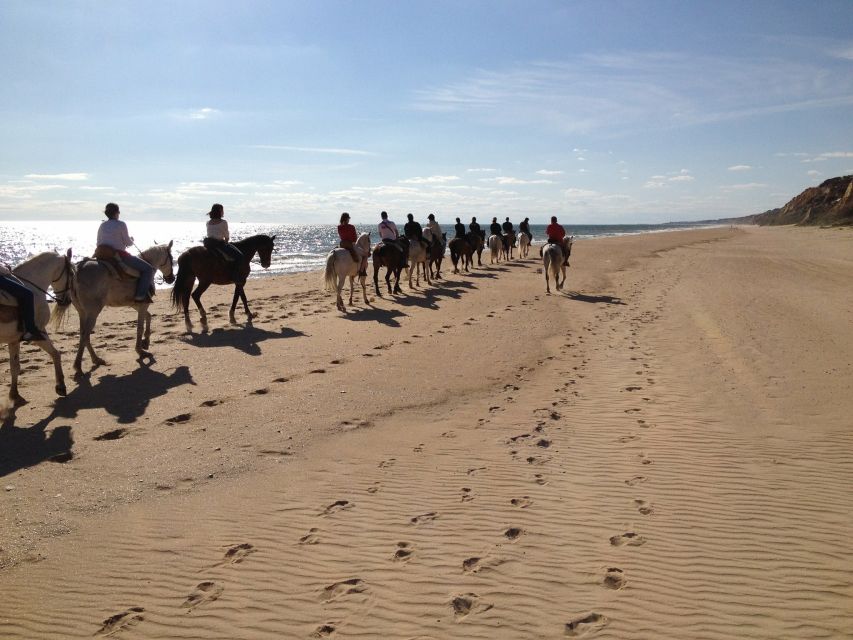 Horse-Riding Tour in Doñana National Park - Horseback and coastline: how the 2 hours actually play out