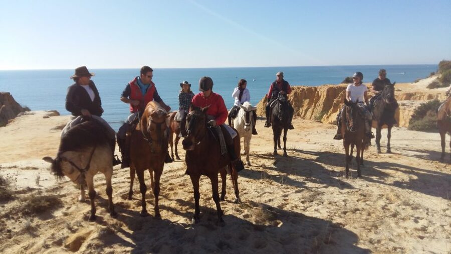Horse-Riding Tour in Doñana National Park - Starting on the coast: your first taste of Doñana’s seashore