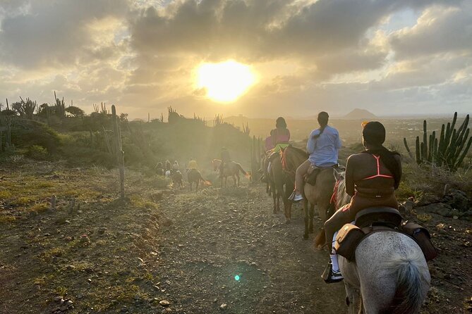 Horseback Ride Tour to Natural Pool in Arikok National Park - Matching, safety, and why the guides keep it beginner-friendly