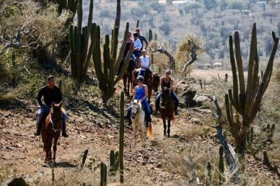 Horseback Ride Tour to Natural Pool in Arikok National Park - The Conchi natural pool stop: a short swim with big payoff
