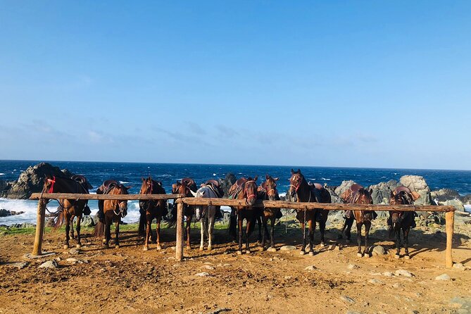 Horseback Ride Tour to Natural Pool in Arikok National Park - What $155 buys you in Aruba (and why it feels fair)