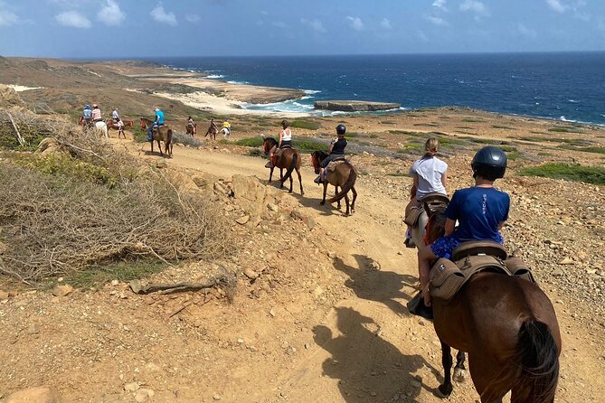 Horseback Ride Tour to Natural Pool in Arikok National Park - Time on the trail: how the 3-hour schedule feels in real life