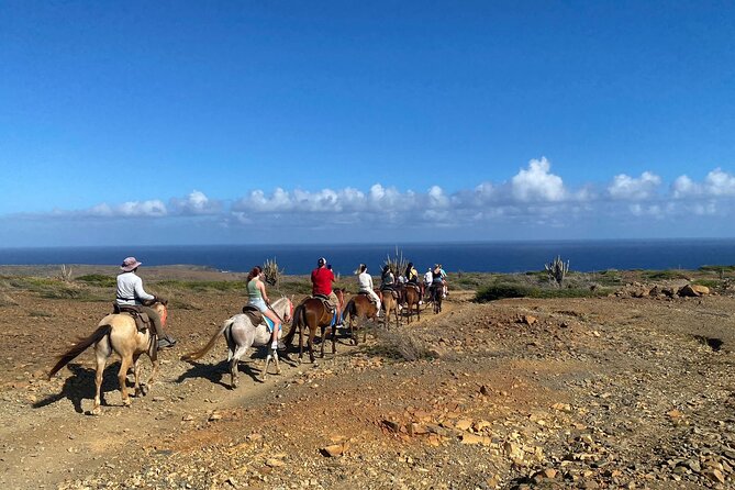 Horseback Ride Tour to Natural Pool in Arikok National Park - Who should book this, and who should skip it