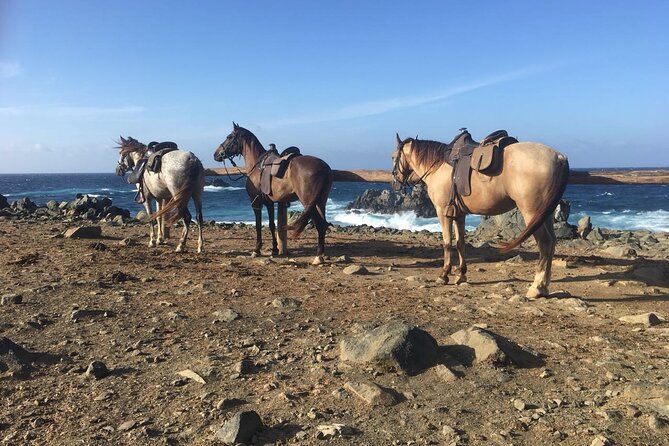 Horseback Ride Tour to Natural Pool in Arikok National Park - Comfort tips for Aruba heat and saddle time