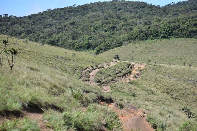 Horton Plains National Park Entrance Ticket with Guide - Pre-Booking at Horton Plains: Why It Changes the Day