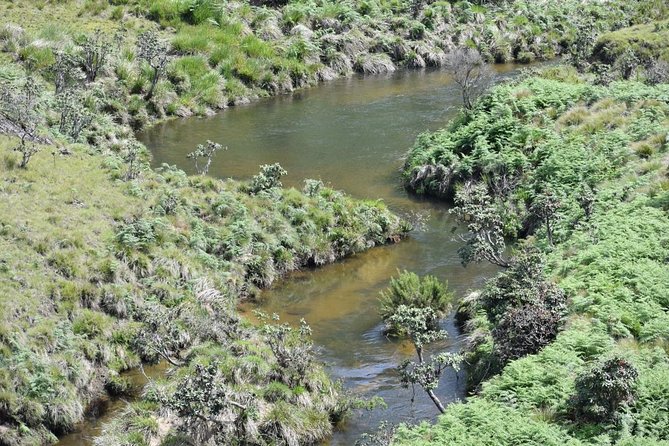 Horton Plains National Park Entrance Ticket with Guide - Price and Value: Is $120 Worth It?
