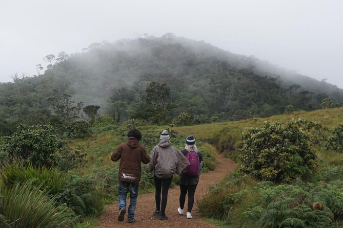 Horton Plains National park in Nuwara eliya - Entering Horton Plains: World’s End, Mini World’s End, Chimini Pool, Baker’s Waterfall