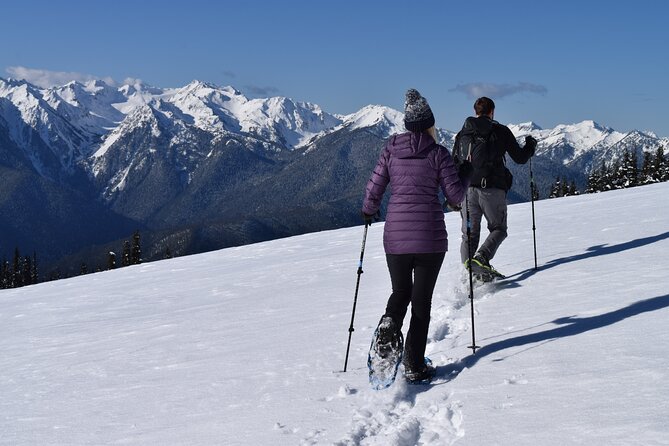 Hurricane Ridge Guided Snowshoe Tour in Olympic National Park - Hurricane Ridge in winter: why this snowshoe day feels worth it