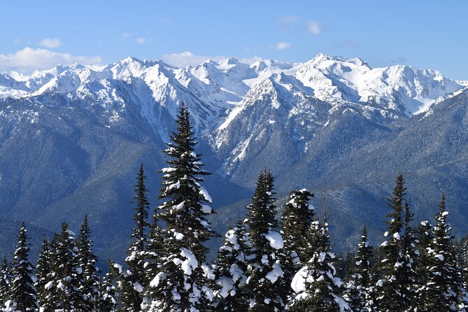 Hurricane Ridge Guided Snowshoe Tour in Olympic National Park - From 720 Marine Dr to Hurricane Ridge: the 4WD shuttle plan