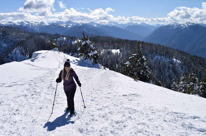 Hurricane Ridge Guided Snowshoe Tour in Olympic National Park - Getting back: the 1:00 to 2:00 return and the 2:30 bus